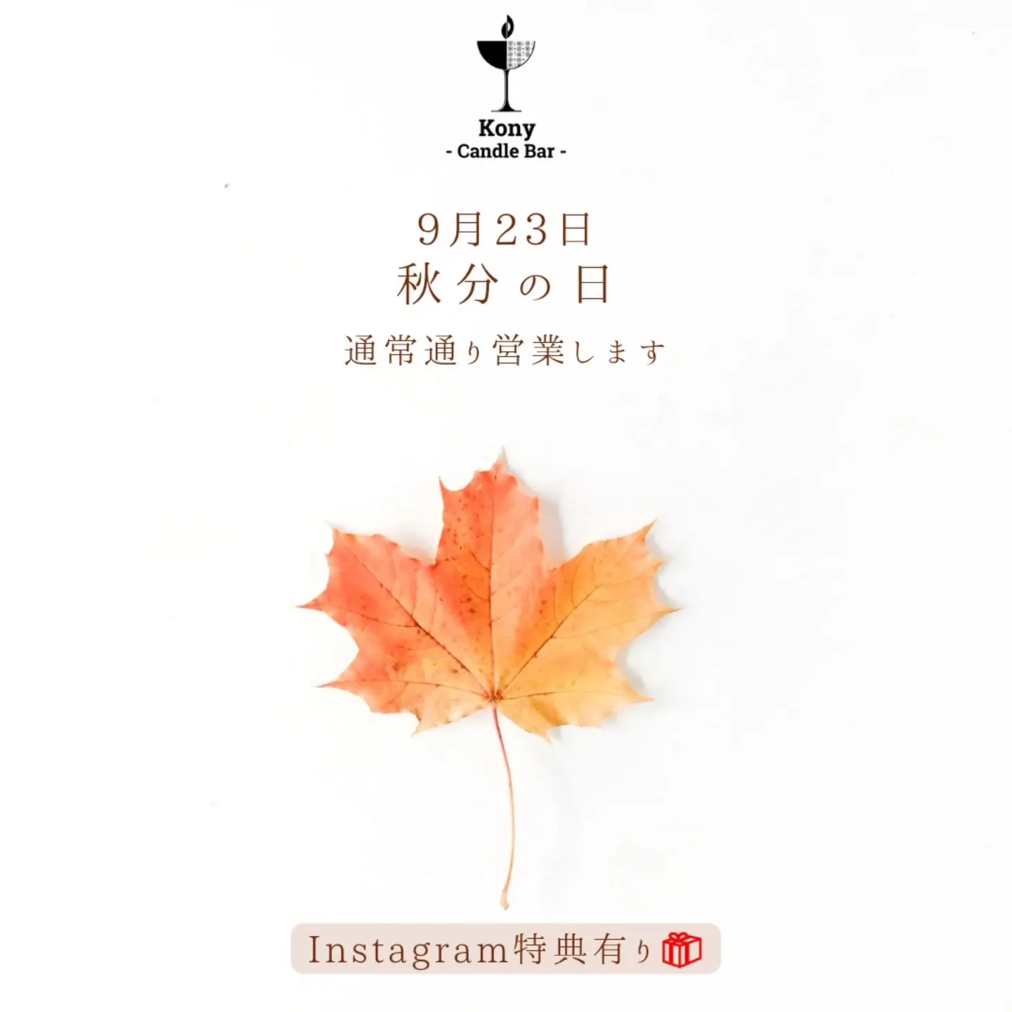 本日も通常営業をします📢