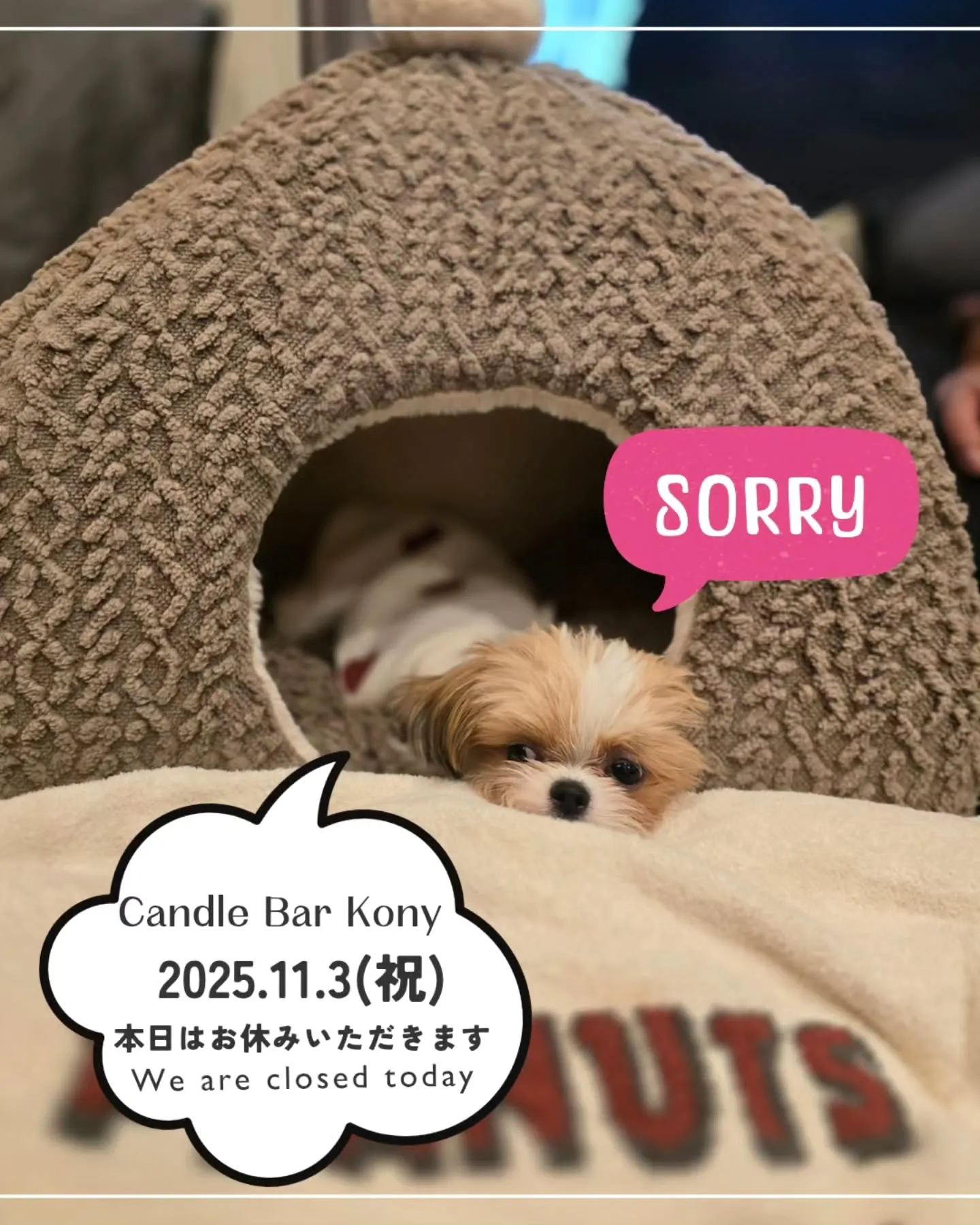 休業日のお知らせ📢