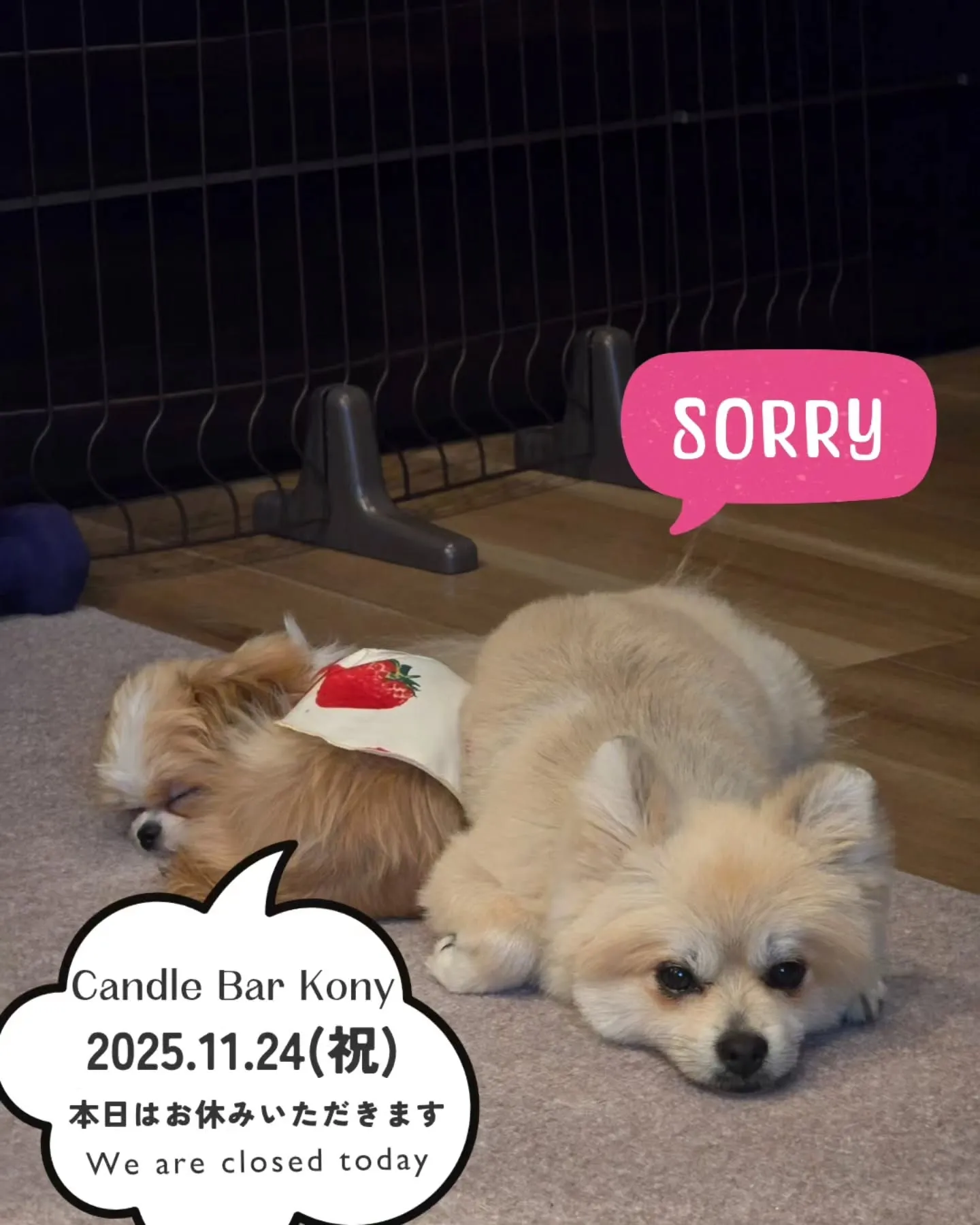 休業日のお知らせ📢